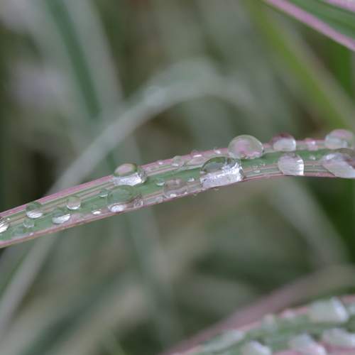 Photo #13626425