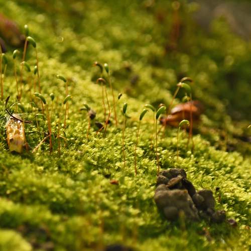 Photo #13626456