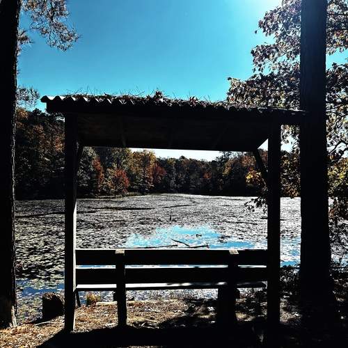Photo #13626475