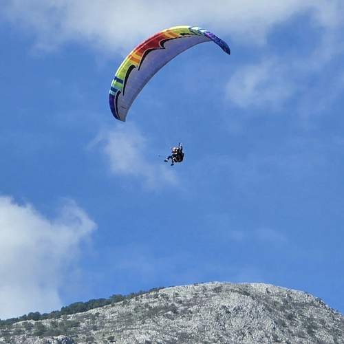 Photo #13626478