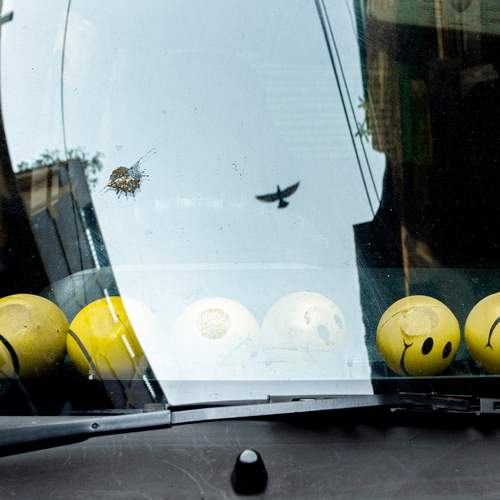 Photo #13626625