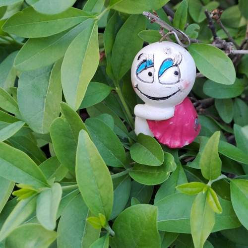 Photo #13626642