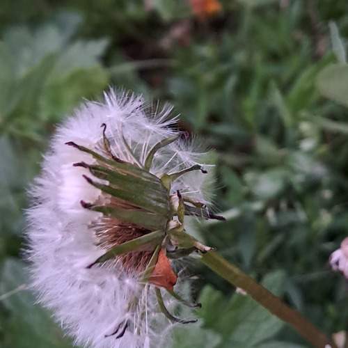 Photo #13626643