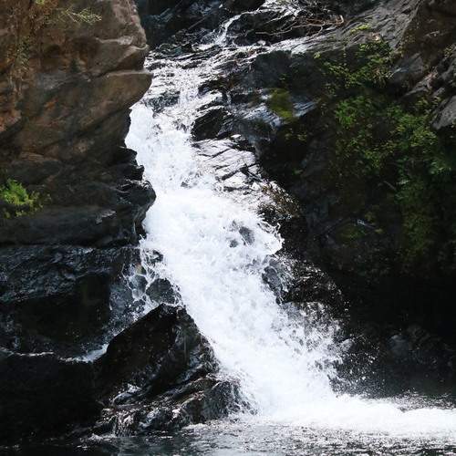 Photo #13626784