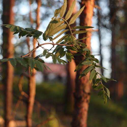 Photo #13626831
