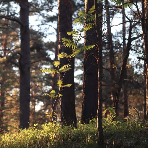 Photo #13626832