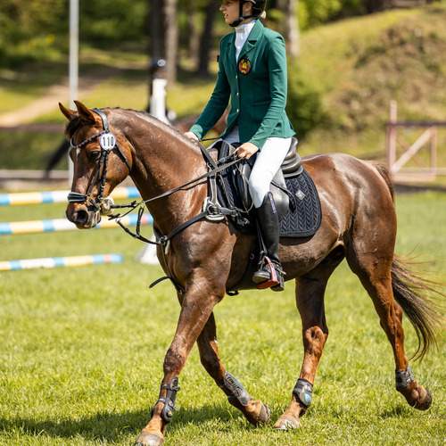Photo #13626896