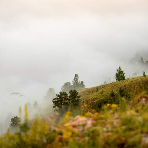 Photo #13626910