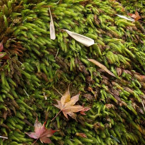 Photo #13626921