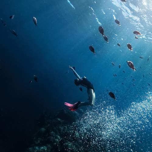 Photo #13626972