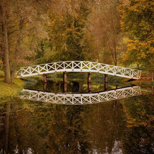 Photo #13627014