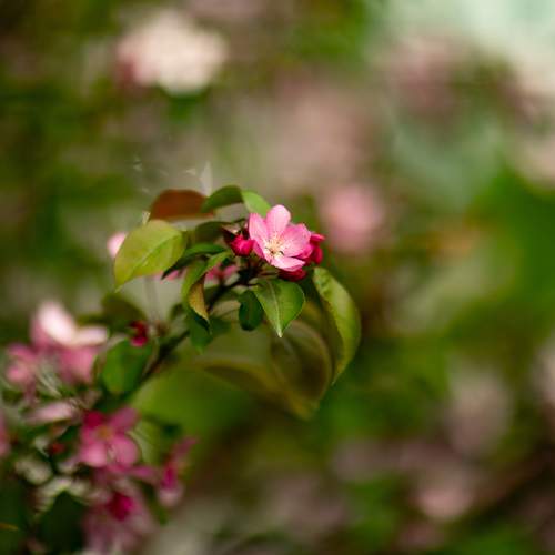 Photo #13627088