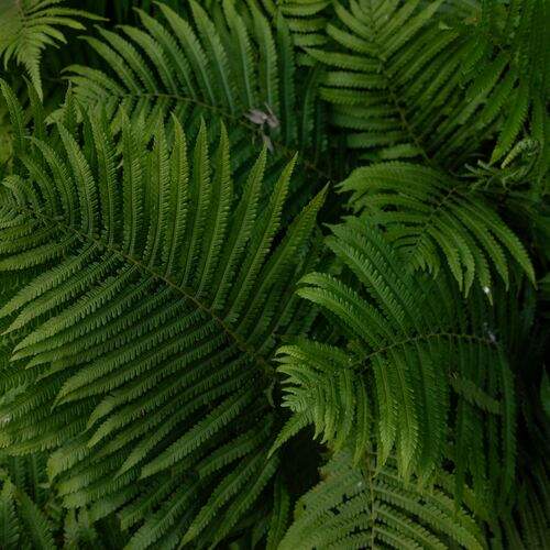 Photo #13627151