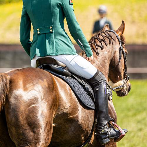 Photo #13627159
