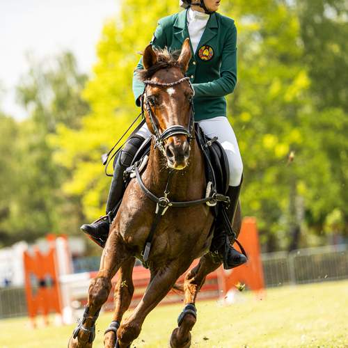 Photo #13627160