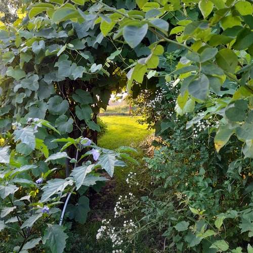Photo #13627274