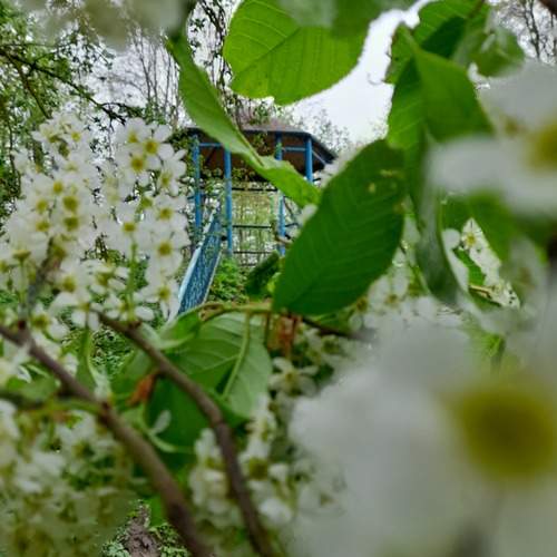 Photo #13627301