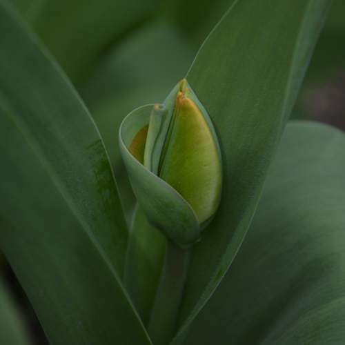 Photo #13627331