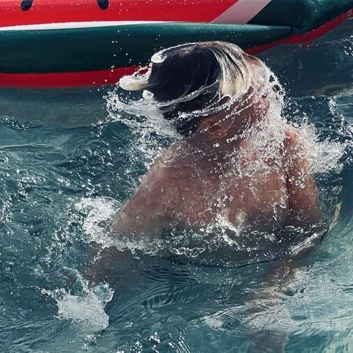Photo #13627399