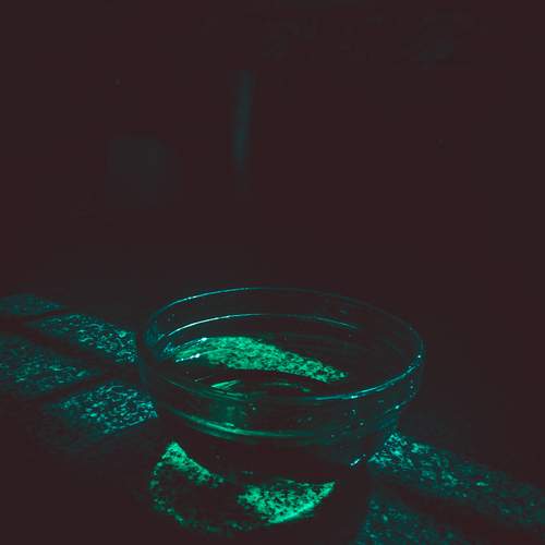 Shades of Green
