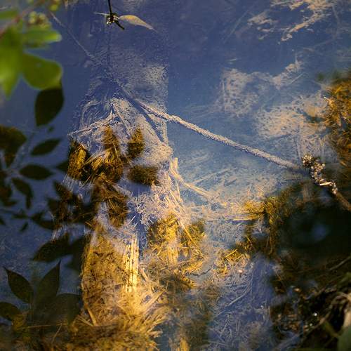 Photo #13627428