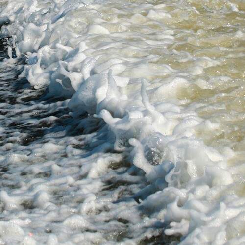 Photo #13627553