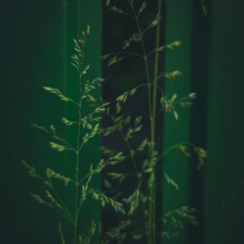 Photo #13627560