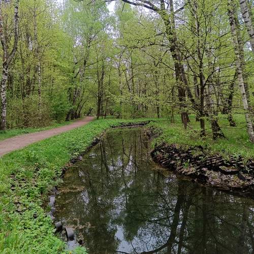 Photo #13627600
