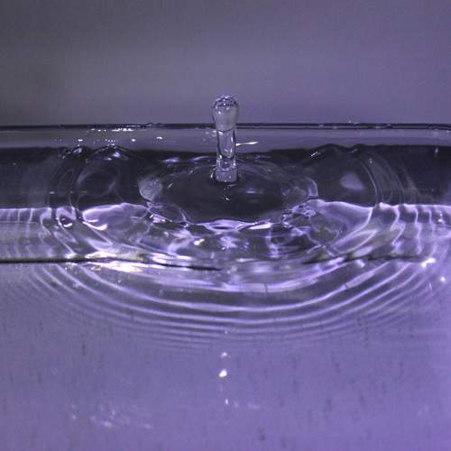 Photo #13627607