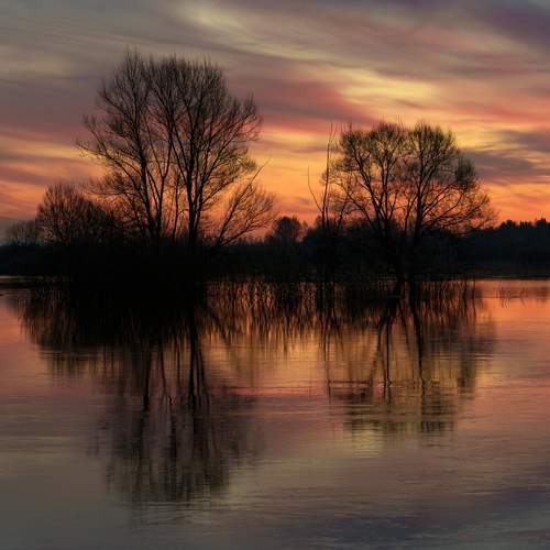 Photo #13627645