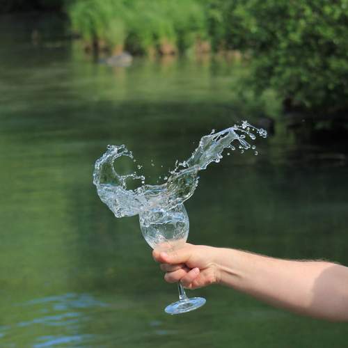 Photo #13627685