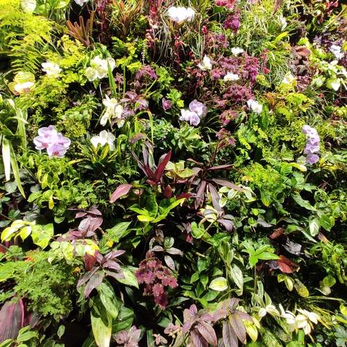 Photo #13627755