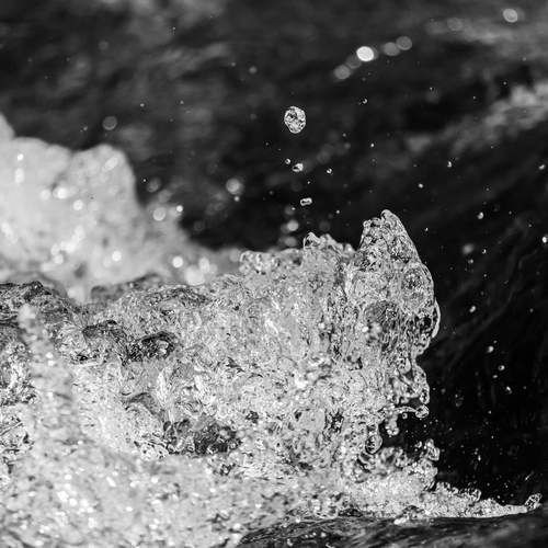 Photo #13627820