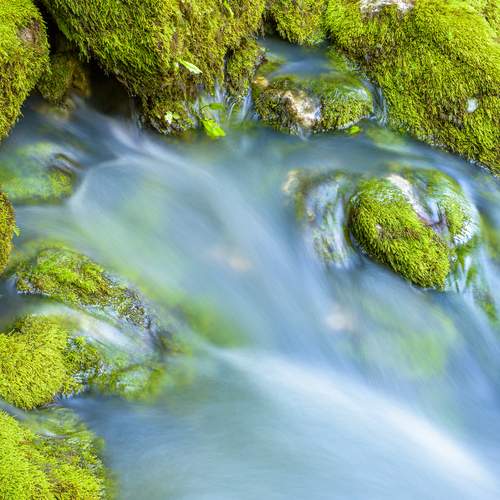 Photo #13627847