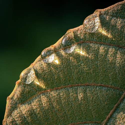 Photo #13628056