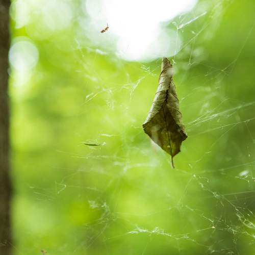 Photo #13628059