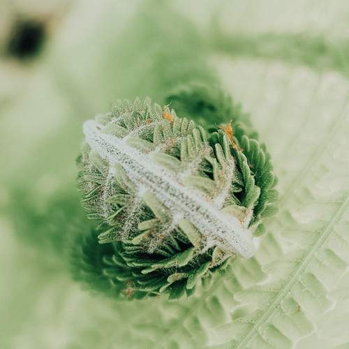 Photo #13628066