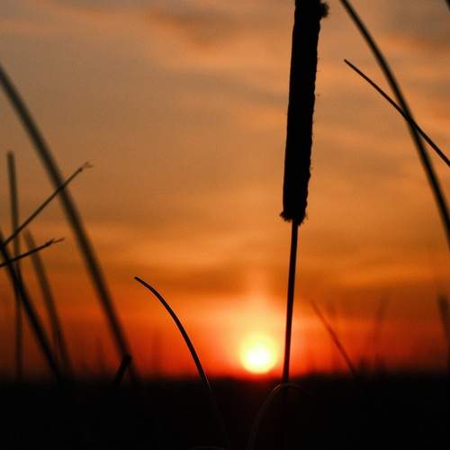 Photo #13628150