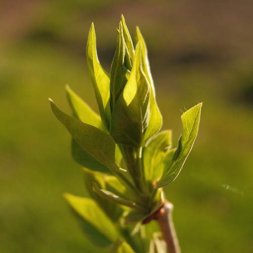 Photo #13628197