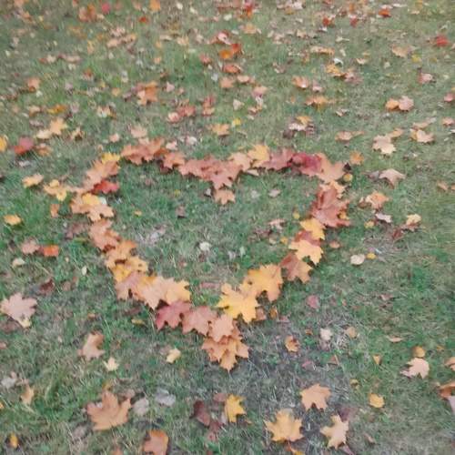 Photo #13628245