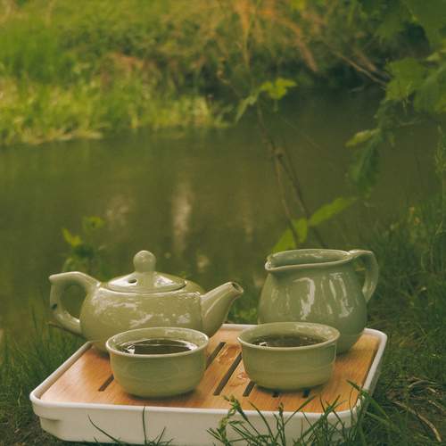 Photo #13628299