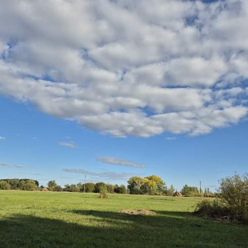 Photo #13628328