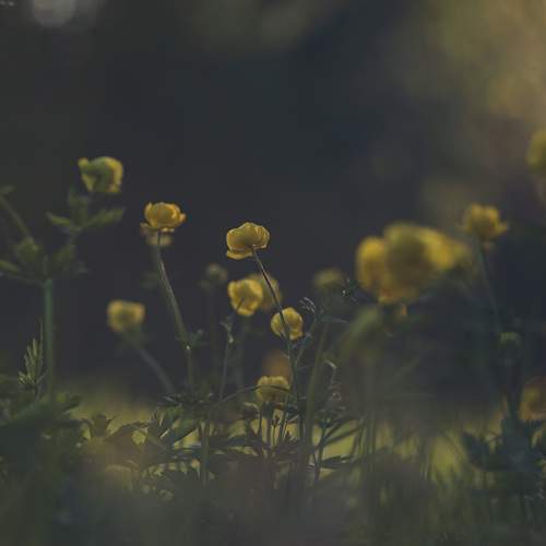 Photo #13628345