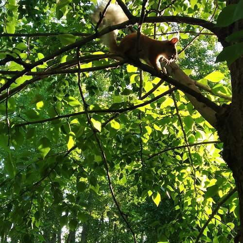 Photo #13628434