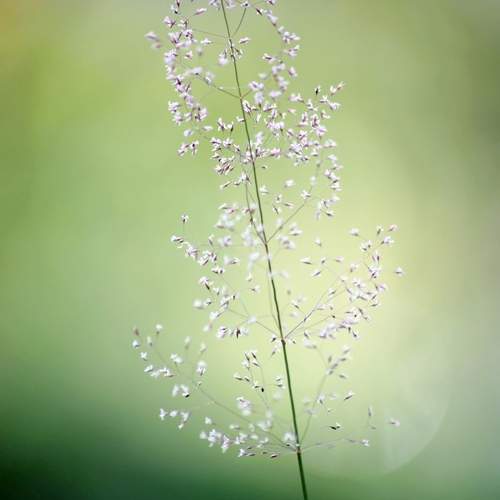 Photo #13628496