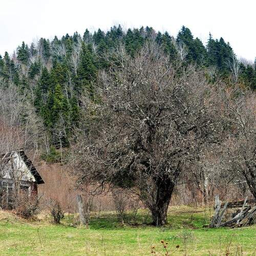 Photo #13628648