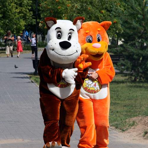 Photo #13628856