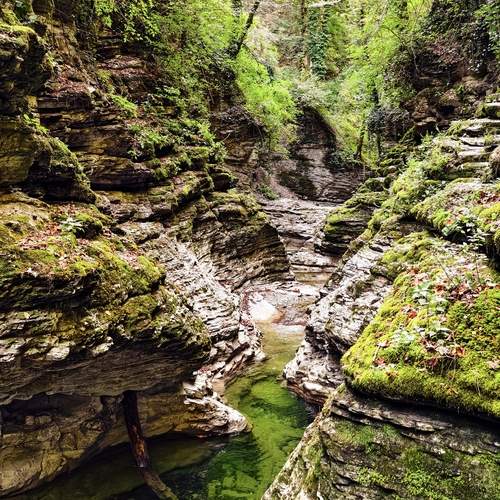Photo #13628895