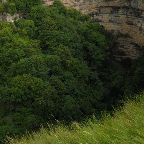 Photo #13629023