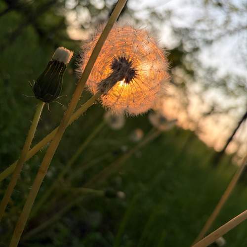 Photo #13629024